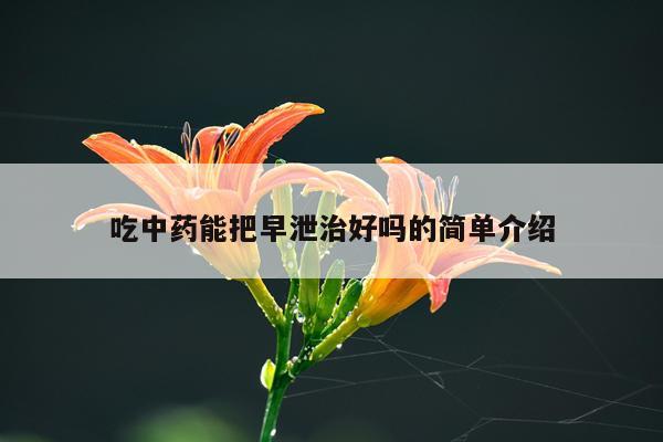 吃中药能把早泄治好吗的简单介绍