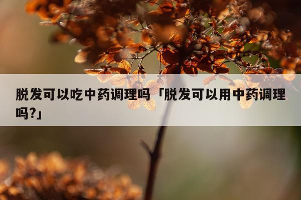脱发可以吃中药调理吗「脱发可以用中药调理吗?」