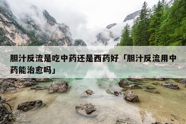 胆汁反流是吃中药还是西药好「胆汁反流用中药能治愈吗」
