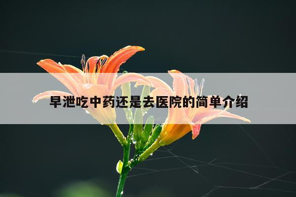 早泄吃中药还是去医院的简单介绍