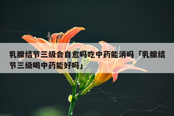 乳腺结节三级会自愈吗吃中药能消吗「乳腺结节三级喝中药能好吗」