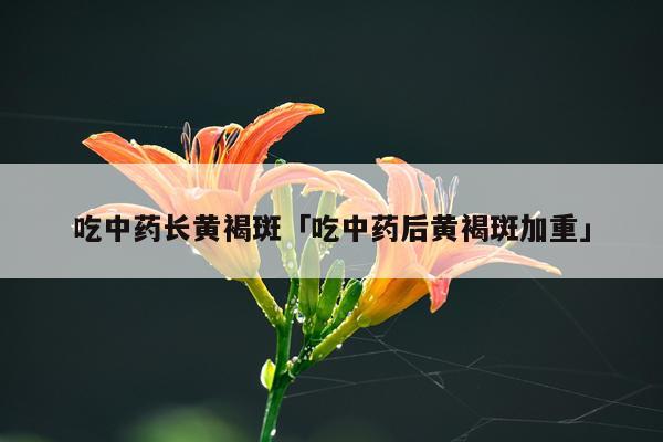 吃中药长黄褐斑「吃中药后黄褐斑加重」