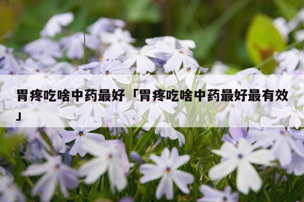 胃疼吃啥中药最好「胃疼吃啥中药最好最有效」