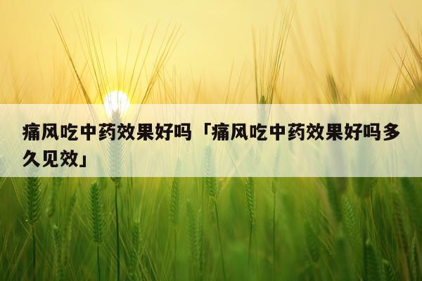痛风吃中药效果好吗「痛风吃中药效果好吗多久见效」
