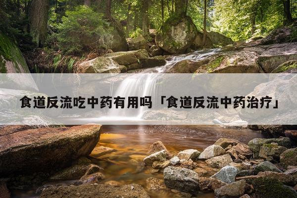 食道反流吃中药有用吗「食道反流中药治疗」
