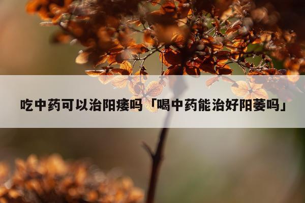 吃中药可以治阳痿吗「喝中药能治好阳萎吗」