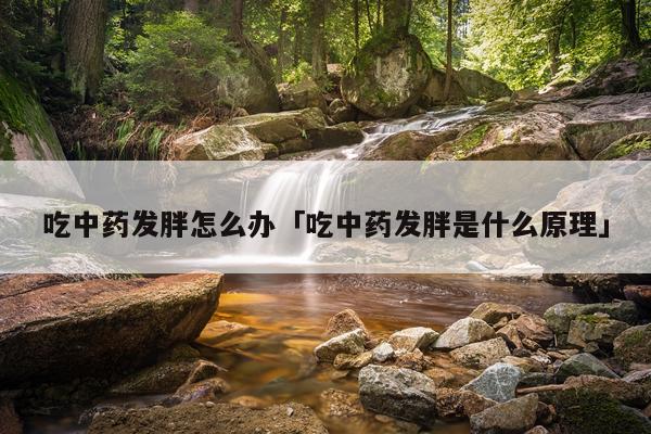 吃中药发胖怎么办「吃中药发胖是什么原理」