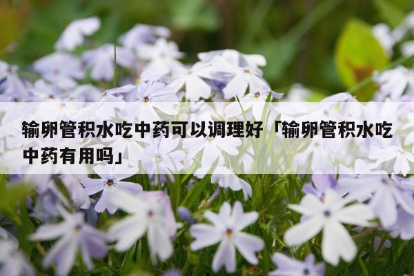 输卵管积水吃中药可以调理好「输卵管积水吃中药有用吗」