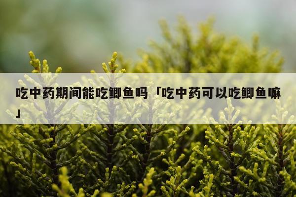 吃中药期间能吃鲫鱼吗「吃中药可以吃鲫鱼嘛」