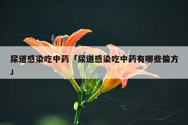 尿道感染吃中药「尿道感染吃中药有哪些偏方」