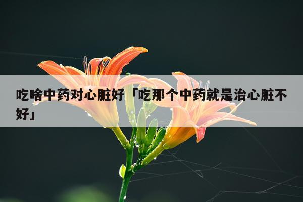 吃啥中药对心脏好「吃那个中药就是治心脏不好」