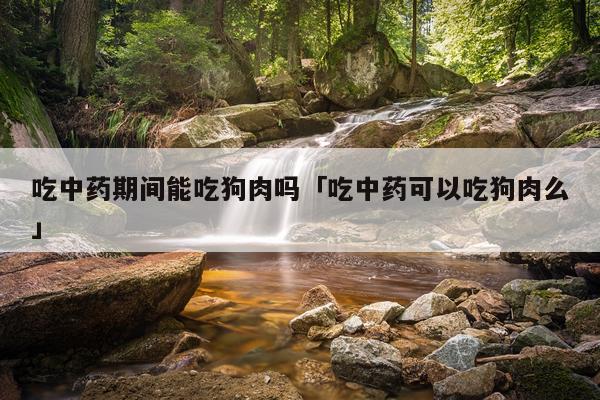 吃中药期间能吃狗肉吗「吃中药可以吃狗肉么」