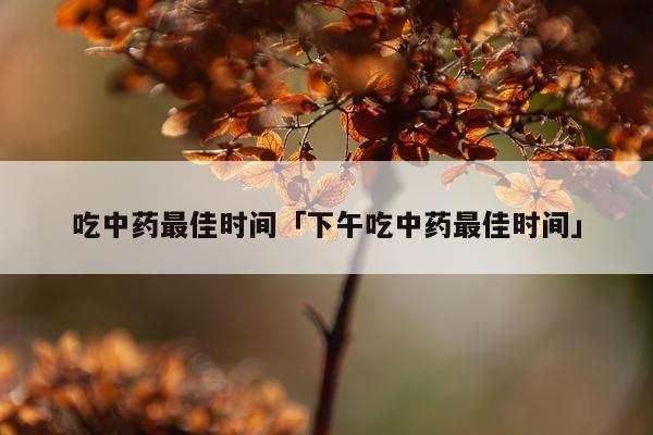 吃中药最佳时间「下午吃中药最佳时间」