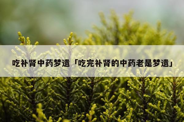 吃补肾中药梦遗「吃完补肾的中药老是梦遗」