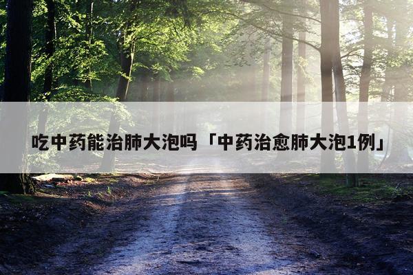 吃中药能治肺大泡吗「中药治愈肺大泡1例」