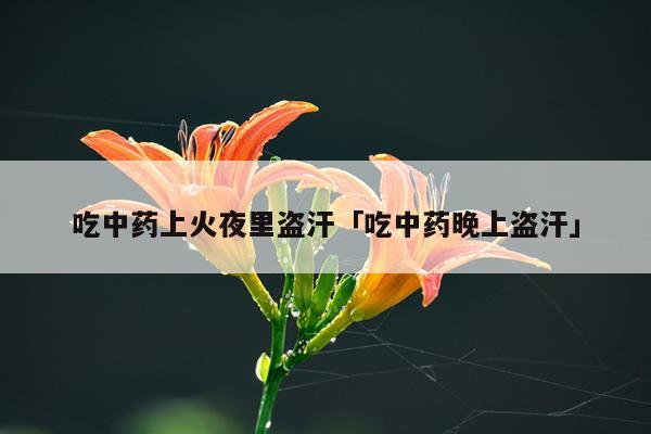 吃中药上火夜里盗汗「吃中药晚上盗汗」