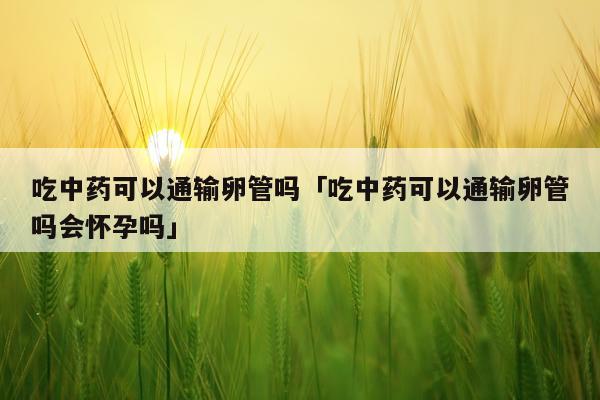 吃中药可以通输卵管吗「吃中药可以通输卵管吗会怀孕吗」