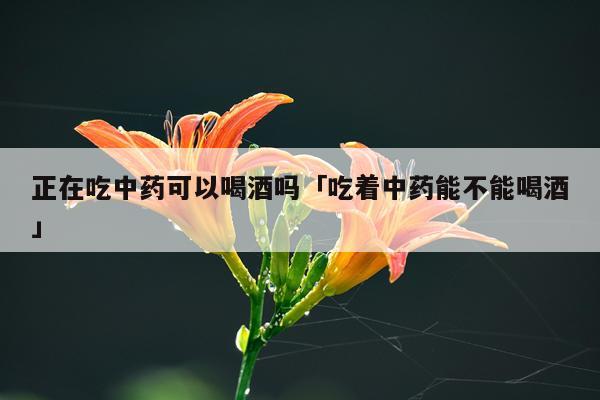 正在吃中药可以喝酒吗「吃着中药能不能喝酒」