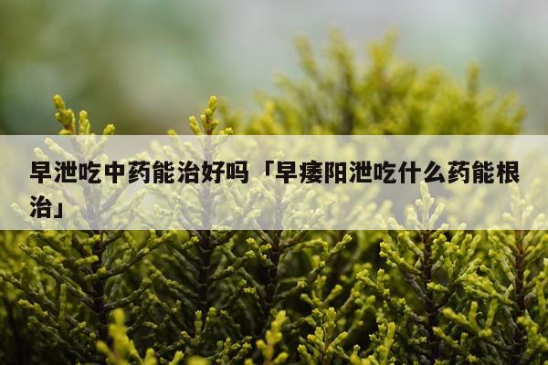 早泄吃中药能治好吗「早痿阳泄吃什么药能根治」