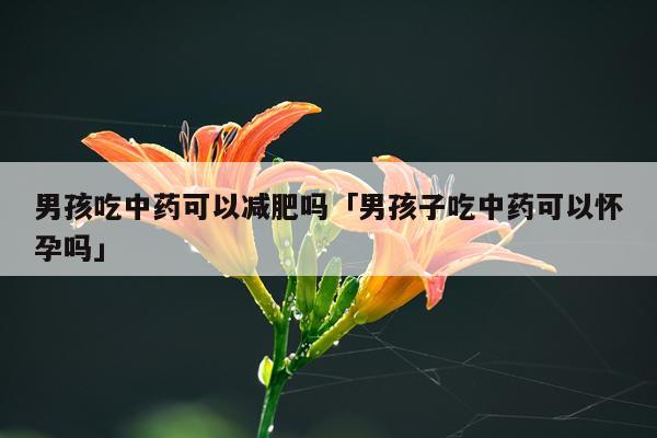 男孩吃中药可以减肥吗「男孩子吃中药可以怀孕吗」