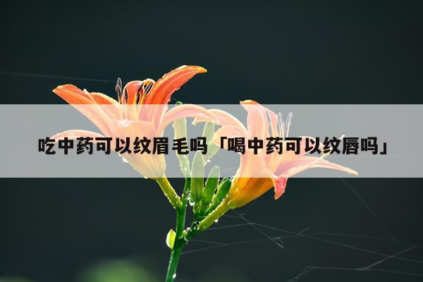 吃中药可以纹眉毛吗「喝中药可以纹唇吗」
