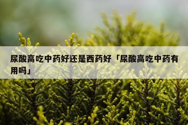 尿酸高吃中药好还是西药好「尿酸高吃中药有用吗」