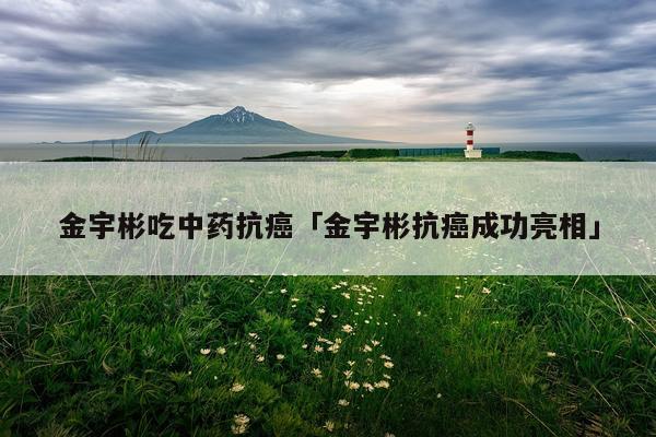 金宇彬吃中药抗癌「金宇彬抗癌成功亮相」