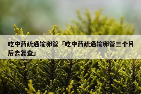 吃中药疏通输卵管「吃中药疏通输卵管三个月后去复查」