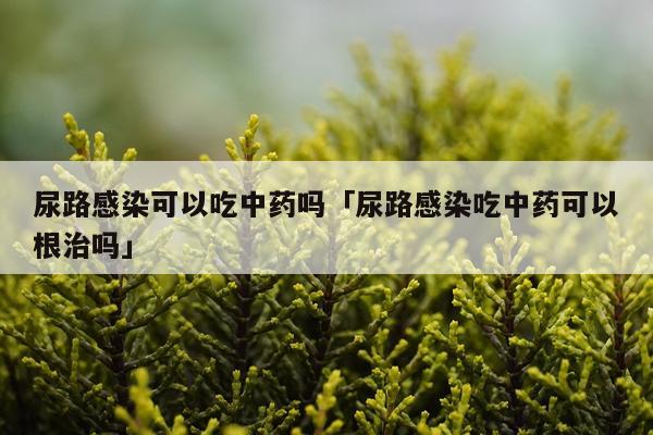 尿路感染可以吃中药吗「尿路感染吃中药可以根治吗」