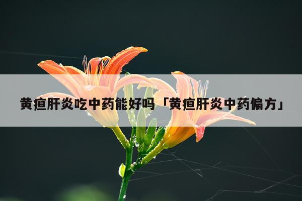 黄疸肝炎吃中药能好吗「黄疸肝炎中药偏方」