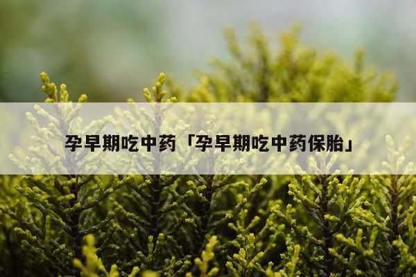 孕早期吃中药「孕早期吃中药保胎」
