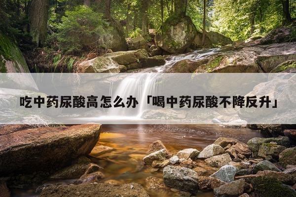 吃中药尿酸高怎么办「喝中药尿酸不降反升」