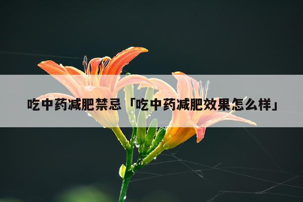 吃中药减肥禁忌「吃中药减肥效果怎么样」