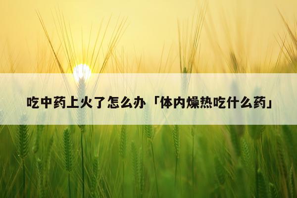 吃中药上火了怎么办「体内燥热吃什么药」