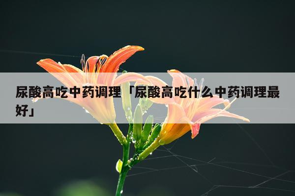 尿酸高吃中药调理「尿酸高吃什么中药调理最好」