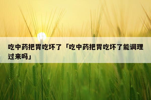 吃中药把胃吃坏了「吃中药把胃吃坏了能调理过来吗」