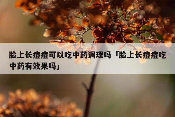 脸上长痘痘可以吃中药调理吗「脸上长痘痘吃中药有效果吗」
