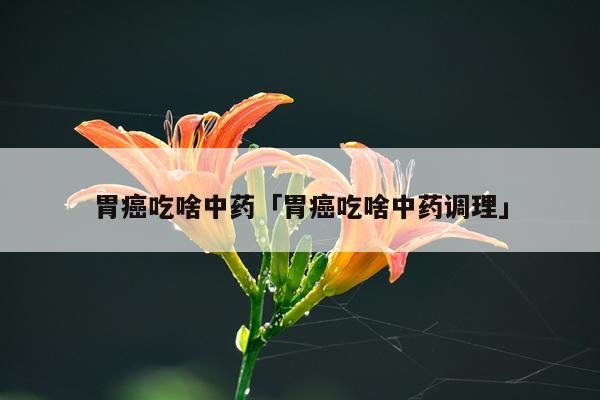 胃癌吃啥中药「胃癌吃啥中药调理」