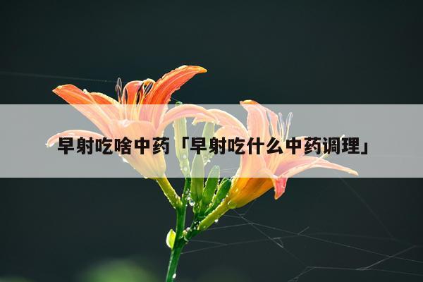 早射吃啥中药「早射吃什么中药调理」