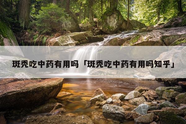 斑秃吃中药有用吗「斑秃吃中药有用吗知乎」