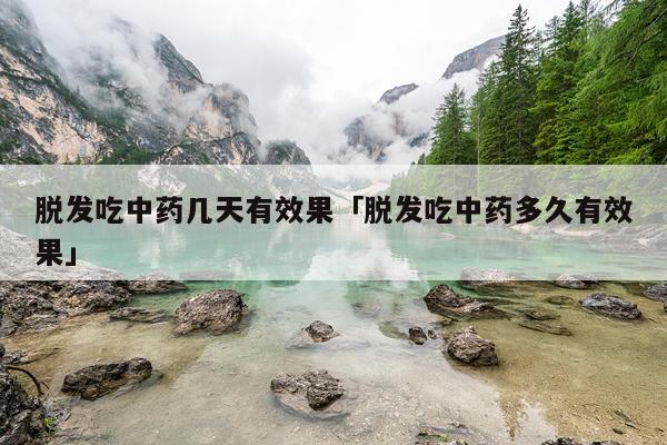 脱发吃中药几天有效果「脱发吃中药多久有效果」