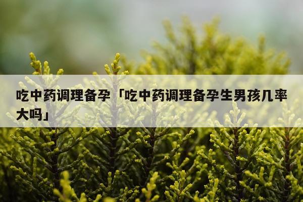 吃中药调理备孕「吃中药调理备孕生男孩几率大吗」
