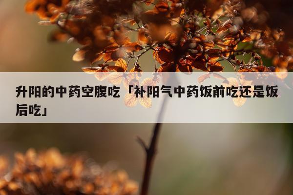 升阳的中药空腹吃「补阳气中药饭前吃还是饭后吃」