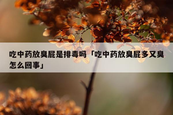 吃中药放臭屁是排毒吗「吃中药放臭屁多又臭怎么回事」