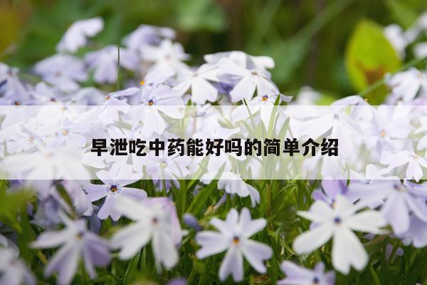 早泄吃中药能好吗的简单介绍