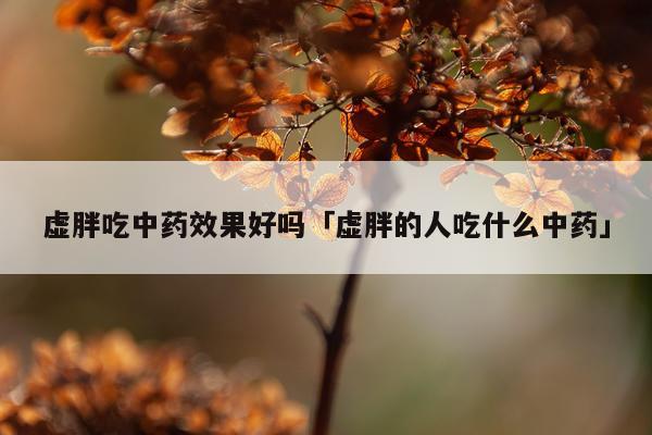 虚胖吃中药效果好吗「虚胖的人吃什么中药」