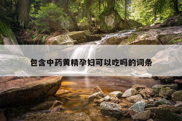 包含中药黄精孕妇可以吃吗的词条