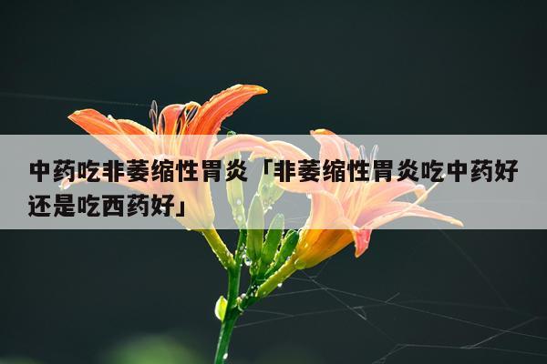 中药吃非萎缩性胃炎「非萎缩性胃炎吃中药好还是吃西药好」