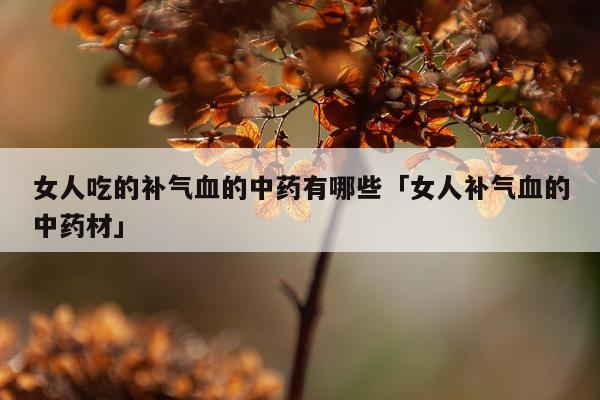 女人吃的补气血的中药有哪些「女人补气血的中药材」