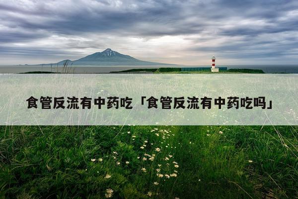 食管反流有中药吃「食管反流有中药吃吗」